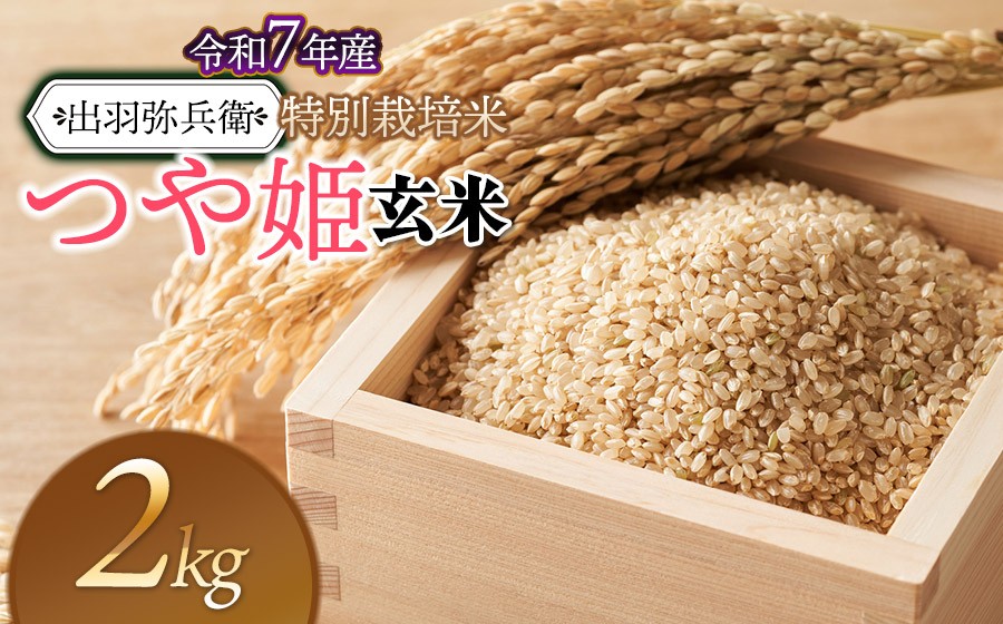 【令和7年産】特別栽培米 つや姫 【玄米】　2kg　山形県鶴岡市産　出羽弥兵衛　| お米 米 コメ こめ ライス つやひめ 2キロ ご飯 ブランド米 国産 主食 お取り寄せ 返礼品
