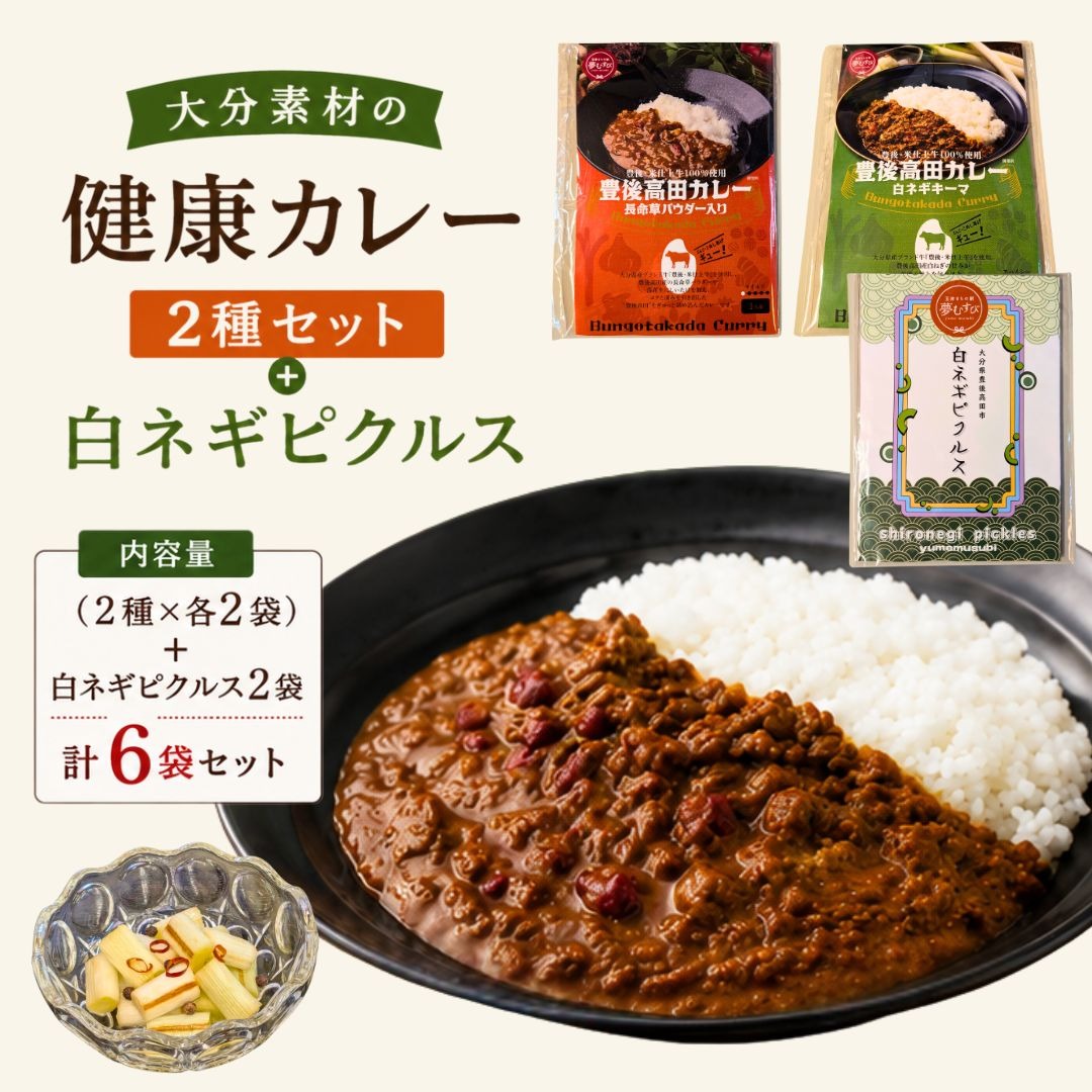 大分素材の健康レトルトカレーと白ネギピクルスセット