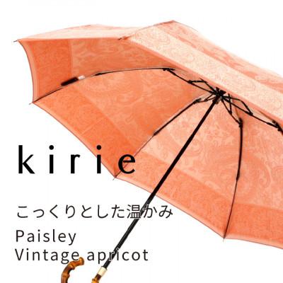 ふるさと納税 西桂町 創業150年以上の傘専門店が作る【婦人折たたみ傘】橙系・軽やかさと優雅さを兼ね備えた晴雨兼用傘 |  | 01