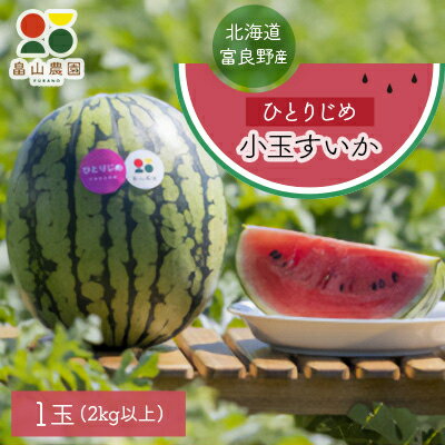 【ふるさと納税】【2026夏発送】ひとりじめ小玉すいか　1玉【配送不可地域：離島・沖縄県】【1318921】