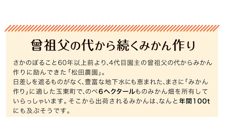 ジューシーで甘い♪『松田農園』のみかんたっぷり約5kg (S-2Lサイズ) 《11月上旬-1月下旬頃出荷》 予約受付中 フルーツ 秋 旬 熊本県 玉名郡玉東町『松田農園』手間暇かけたこだわりのミカンs