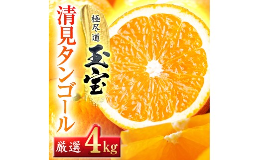 【先行受付】【愛媛名産】玉宝清見タンゴール　4kg【C64-34】YWTY023