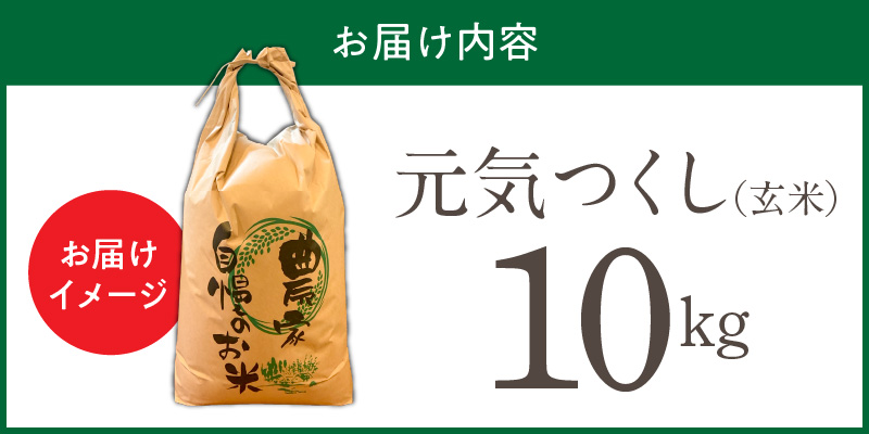 【令和7年産 新米】福岡県産ブランド米元気つくし 玄米 10kg_元気つくし 玄米 内容量 10kg 福岡県産 ブランド米 鮮度抜群 新鮮 福岡生まれ 品種 香り豊か ふっくら 食感 ご飯 おにぎり 