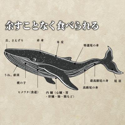 ふるさと納税 下関市 下関鯨屋 日新丸 鯨の詰合せ 6種(竜田揚、赤身肉、おばいけ、舌ボイル 他) 下関 山口 FG036 |  | 01