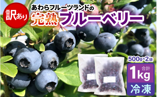 【訳あり】【冷凍】あわらフルーツランドのブルーベリー 1kg 500g×2袋 【完熟】 / フルーツ 果物 くだもの 福井県 あわら市 小分け 便利 たっぷり 完熟 ご当地 国産 おすすめ