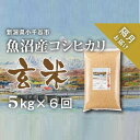 【ふるさと納税】〔定期便 隔月〕〔玄米 選別品〕令和6年産 魚沼産 コシヒカリ 玄米 定期便 5kg×6回【隔月お届け】 米 お米 おこめ ブランド米 こしひかり コシヒカリ 産地直送 お取り寄せ おいしい おすすめ 人気 米太 新潟 魚沼 小千谷市 KT70P351