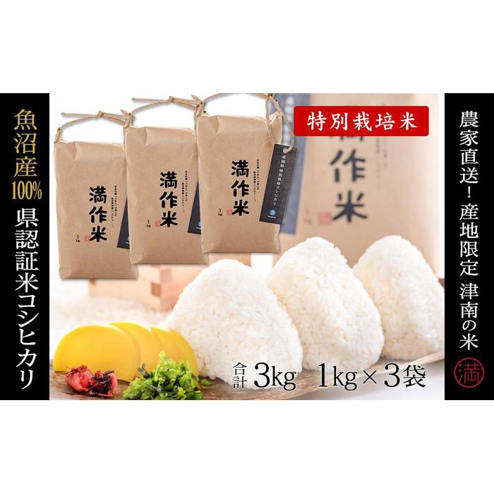 【ふるさと納税】【2025年産新米】県認証米魚沼産コシヒカリ 3kg 産地限定！農家直送