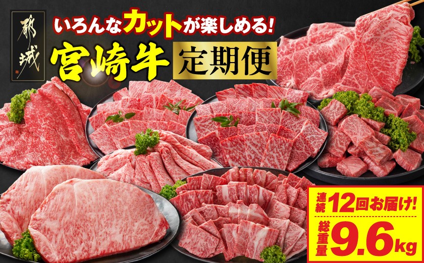 
            ≪12回連続お届け≫いろんなカットが楽しめる宮崎牛定期便M(総重量9.6kg)_T200-12-N201_(都城市)  宮崎牛 牛肉 肉 肩ロース ウデまたはモモ ロース 焼肉 すき焼き しゃぶしゃぶ ステーキ ミヤチク
          