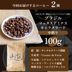 【粗挽き】スペシャルティ珈琲豆(飲み比べセット) ブラジル インドネシア