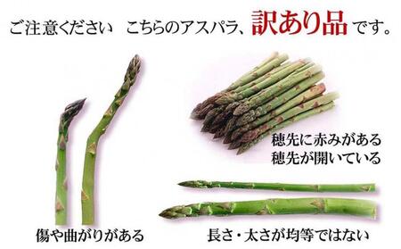 【2025年発送先行予約】【訳あり】露地物朝採りアスパラ 750g×1 　鮮度保持フィルム入り 【 アスパラ アスパラガス 朝採り とれたて 野菜 旬 小分け 保存 産直 産地直送 お取り寄せ 旭川市