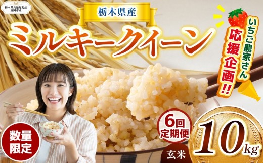 【栃木県共通返礼品】【先行予約】【定期6回】 訳あり 数量 限定 定期便 令和8年度産 ミルキークイーン 約 10kg | とちぎの星 ミルキークイーン お米 kome okome ご飯 米 玄米 白米 ごはん おいしい ふるさと納税 那珂川町 栃木県 送料無料