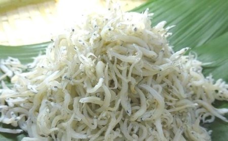 カネニのじゃこづくし　112［1095］