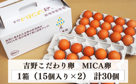 卵 MICA卵 30個 L寸 [BRCI006]