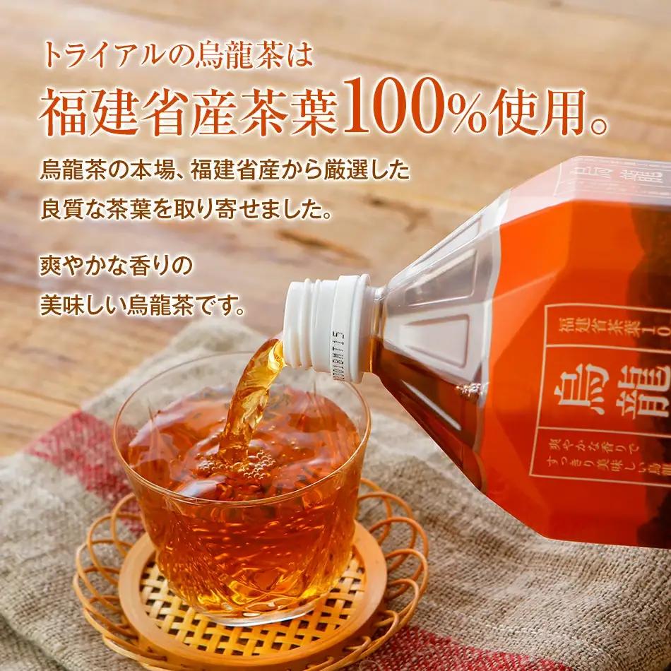 お茶 飲み比べセット 2L 12本 緑茶 烏龍 ペットボトル お茶