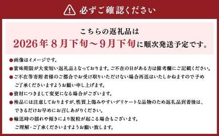 内子町産 シャインマスカット 赤秀 1房入 約750g以上【2026年8月下旬～9月下旬迄発送予定】【えひめの町（超）推し！（内子町）】（447）