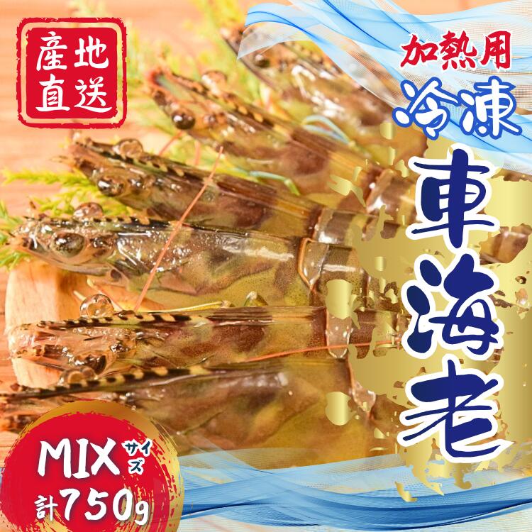 【ふるさと納税】 種子島 産 車えび M L 3L サイズミックス 冷凍 車海老 (250g×3袋) 計750g 大 えび 種子島 の 養殖 車えび 化学薬品等不使用で安心・安全 ふるさと 人気 ランキング