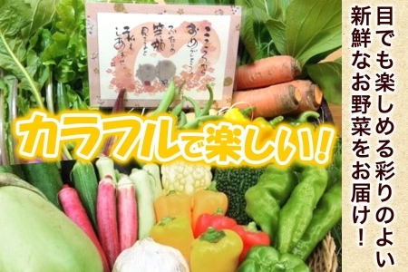 旬の野菜セットLサイズ(約10~11品)