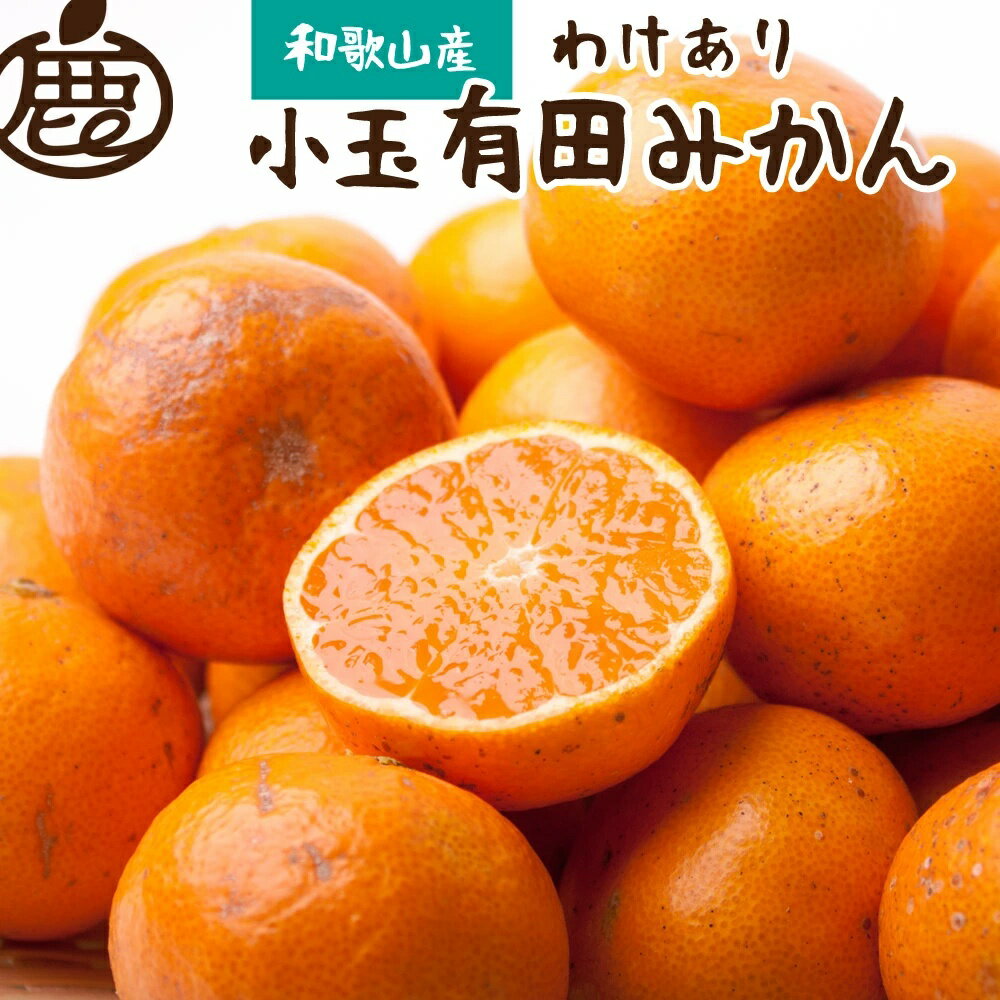 【ふるさと納税】家庭用 小さな有田みかん (S以下) 【選べる容量】2.5kg 5kg 7.5kg 10kg【わけあり・訳あり】【光センサー選果】＜2025年10月より順次発送予定＞ / みかん ミカン 果物 果実 フルーツ オレンジ 小玉 訳あり 有田 有田みかん 和歌山 柑橘 訳アリ 小玉みかん