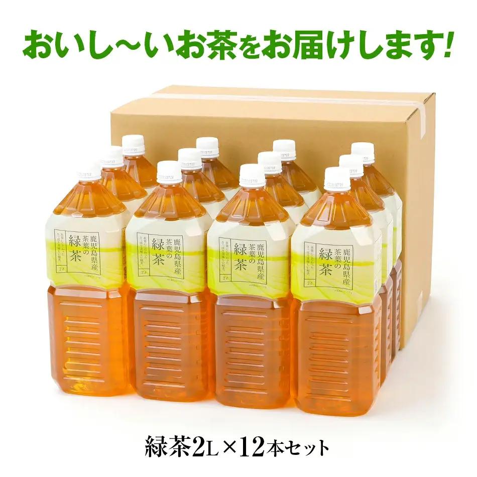 お茶 ペットボトル おいし～い緑茶 2L×12本 お茶