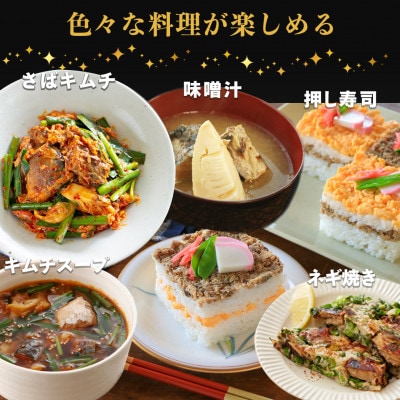 マルハニチロ さば煮付(国産)缶詰 190g×12缶 ふるさと納税