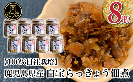 鹿児島県産】白宝らっきょう佃煮 8個 佃煮 つくだ煮 セット 珍味 惣菜 らっきょう 鹿児島 エスランドル 南さつま市