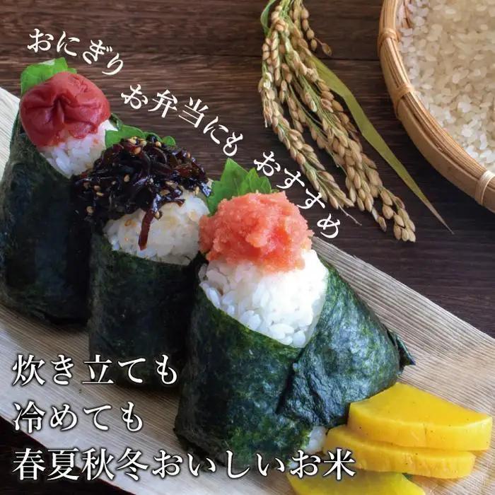令和7年産  無洗米 金のめし丸 元気つくし 5kg | 無洗米 