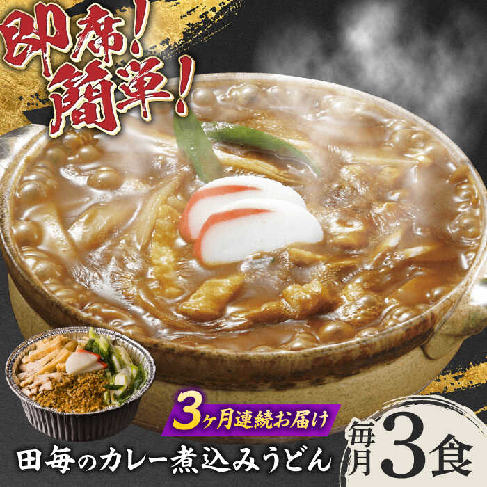 【ふるさと納税】【3回定期便】うどん 岐阜の味 田毎のカレー煮込みうどんセット 即席 カンタン 麺 うどん カレーうどん カレー カレーライス 煮込みうどん 冷凍 定期便 スパイス 具材付き 鍋不要 老舗の味 名店 ギフト プレゼント 人気 岐阜市 / ラボレムス[ANFP006]