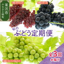 【ふるさと納税】【定期便 全3回】令和7年産 ぶどう 定期便【2025年7月下旬頃～ 発送開始】デラウェア ピオーネ シャインマスカット 2025年産 種無し ぶどう ブドウ 葡萄 フルーツ 果物 くだもの 期間限定 数量限定 先行予約 山形産 山形県 米沢市