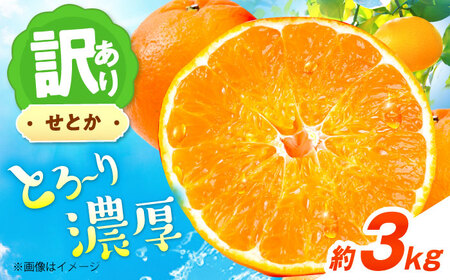 みかん 訳あり せとか 約3kg フルーツ 果物 みかん 訳あり BJAZ004