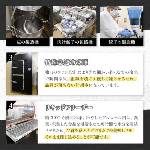生餃子(80個) ふるさと納税 箕面市 特産品 簡単 冷凍食品 冷凍 簡単調理 お手軽 インスタント 本格 こだわり 焼き餃子 豚肉 野菜 出汁 タレ付【m31-03】【FROZEN Lab.】