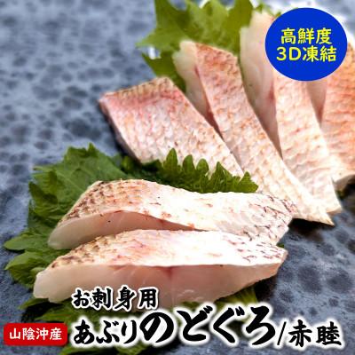 ふるさと納税 新温泉町 高級魚「天然クエ熟成」「炙りノドグロ」お刺身用 旨味凝縮 高鮮度3D凍結 個包装 |  | 01