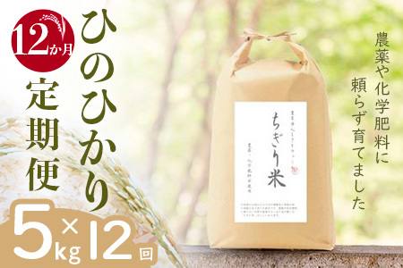 【令和6年新米・先行受付】《12か月定期便》無農薬米 ひのひかり ちぎり米 5kg×12回【佐賀県産 米 コメ ヒノヒカリ 夢しずく 精米 白米】JI8-F091302