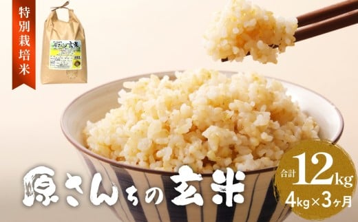令和7年度産 原さんちの玄米 4kg にこまる 3ヶ月 定期便 にこまる 有機質肥料 特別栽培米 原農園 完熟堆肥 アートテン農法 抗酸化農法 有効微生物農法 光合成 体に良い 美味しい お米 安全 清潔 環境に優しい 栄養価 高品質 産地直送 健康志向 農産物