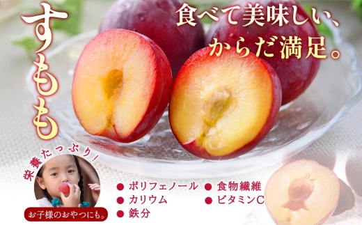 すもも 大石早生 6パック 約1.4kg スモモ プラム フルーツ 果物 産地直送 旬 果実 甘酸っぱい 爽やか 果汁 ジューシー こだわり 新鮮 人気 美味しい おやつ 贈答 ギフト 贈り物 村松農