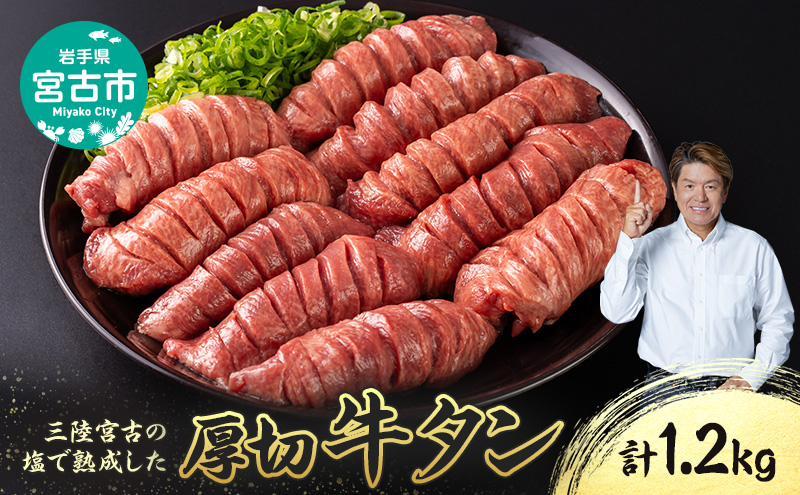 【宮古市】三陸宮古の塩を使用した熟成牛タンスライス味付け 1.2kg(200g×6p)