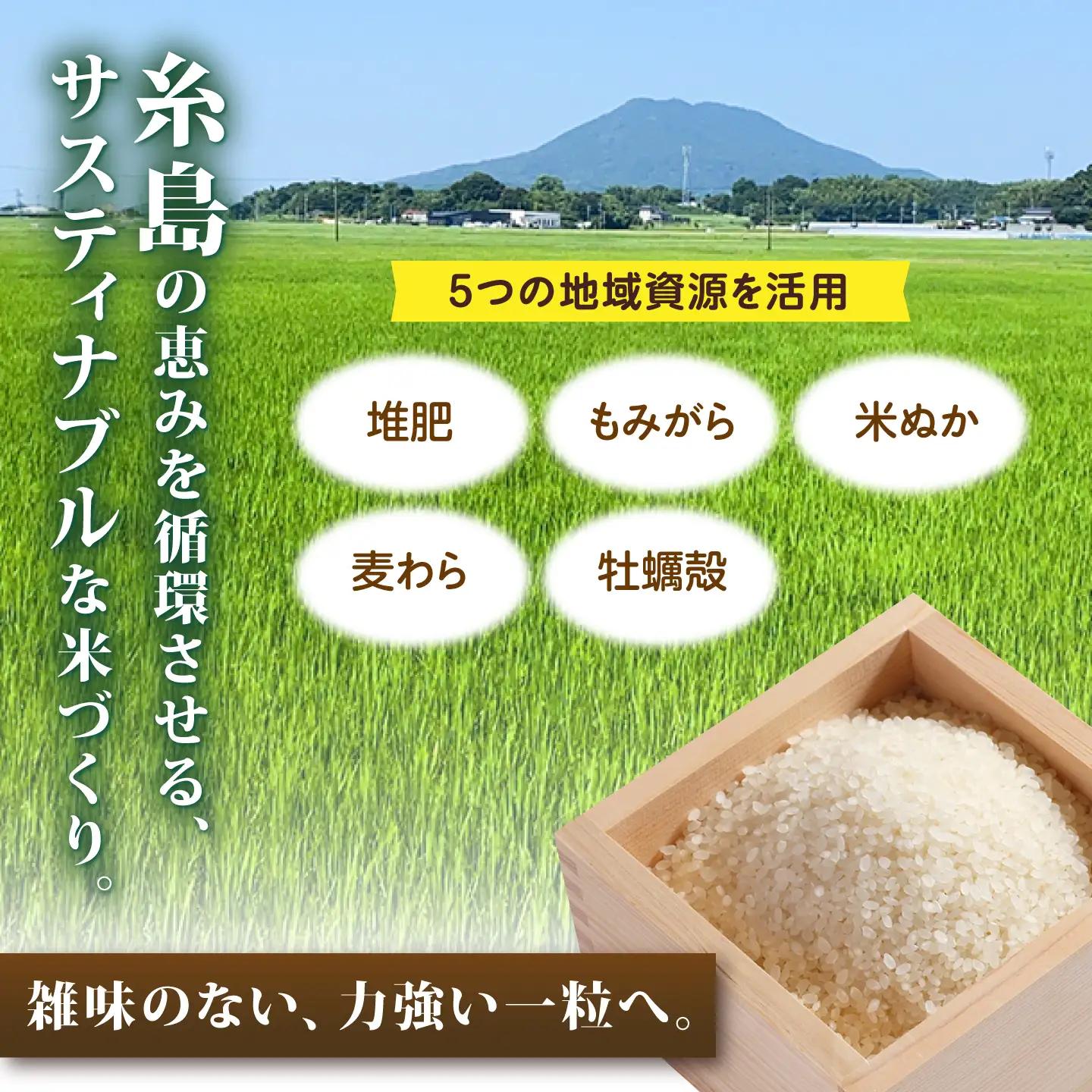 【令和7年産】にこまる  白米 5kg  [AGR001] 