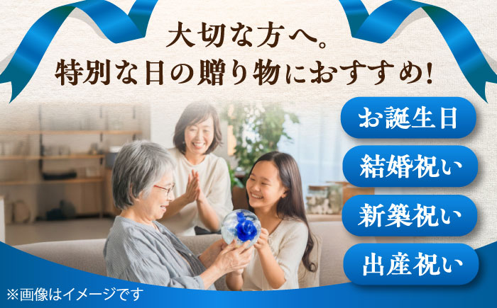 プリザーブドフラワー　ガラスドーム (青) / 花 プレゼント 贈答用 ガラス 母の日 父の日 入学式 卒業式 菊陽町 熊本県【株式会社 美向】 [BHDC002]