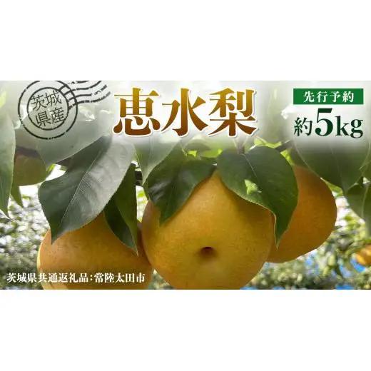 【 先行予約 】茨城県産 梨 恵水 約5kg 8玉～12玉 ( 茨城県共通返礼品 : 常陸太田市 ) 【 2026年 9月中旬頃より発送 】