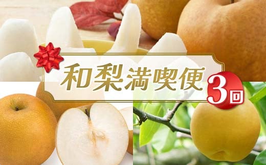 【2025年先行予約】和梨満喫便（全3回） FSY-2174