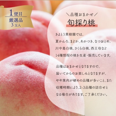 【発送月固定定期便】【きよとうファーム】厳選された大玉桃3玉と大粒シャインマスカットの定期便!全2回【配送不可地域：離島】
