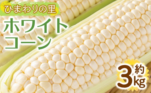 ＜先行予約！2026年6月上旬以降順次発送予定＞＜選べる容量＞ホワイトコーン(約3kg/通常品) 【man110・man111】【Aglio nero】