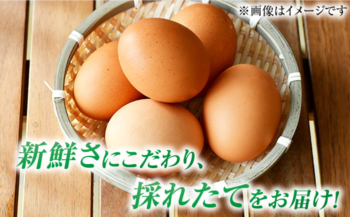 【6回定期便】【お得な箱入り】平飼たまご ファイブエッグ M〜Lサイズ 30個 / 5EGG 卵 赤玉子 五島市 / 五島列島大石養鶏場 [PFQ040]