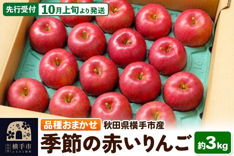 
            【先行受付】10月上旬より発送 季節の赤いりんご 約3kg（早生ふじ(やたか)、シナノスイート、早生ふじ(こまちふじ)、サンふじ）
          