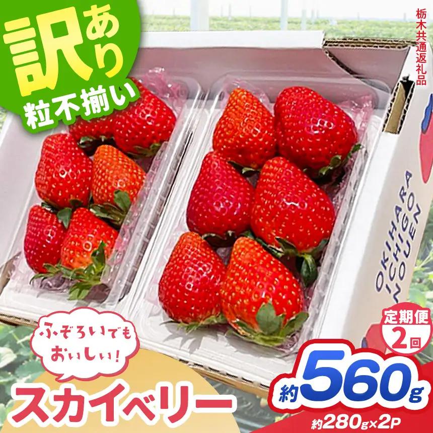 【先行予約】【定期2回】訳あり スカイベリー いちご 約 280g × 2P｜栃木県共通返礼品 栃木県 那珂川町 送料無料