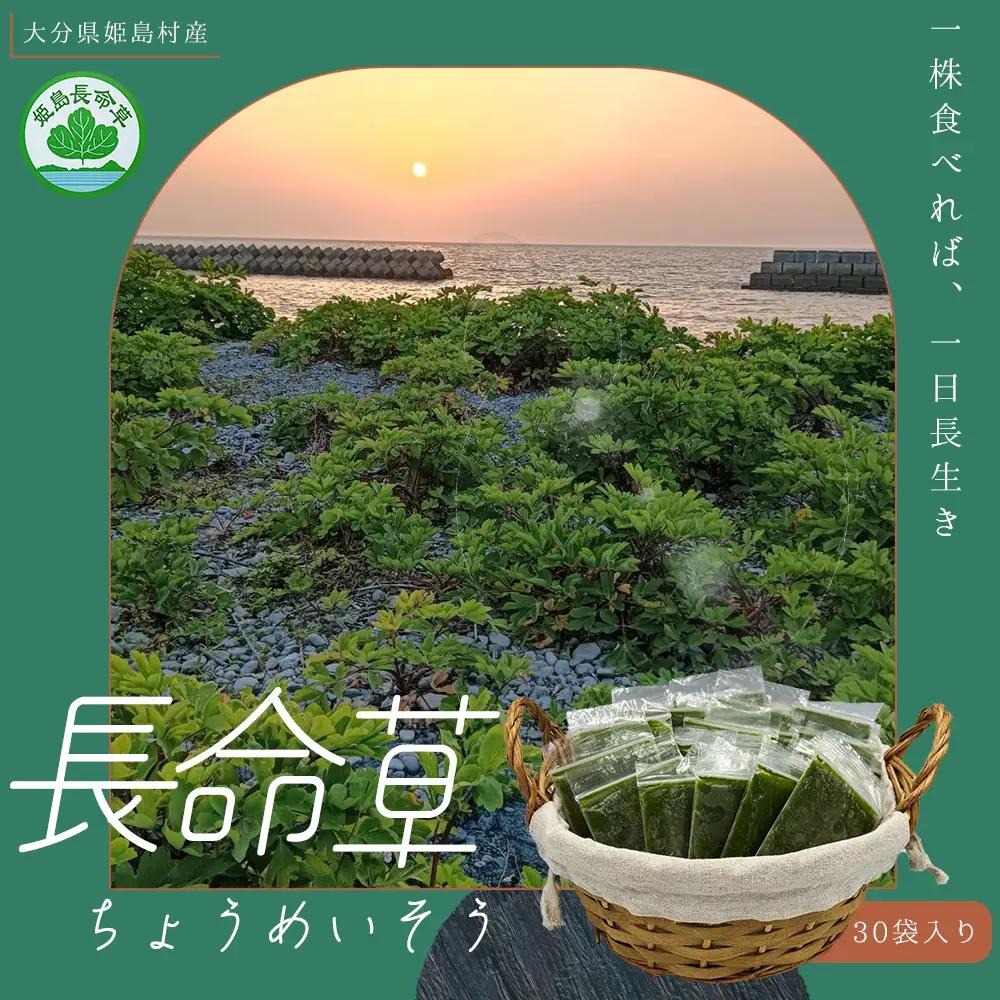 姫島村産 長命草 ペースト 1箱(30袋入り) P1