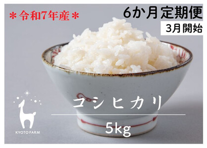 〈6か月定期便〉令和7年産コシヒカリ 精米 毎月5kg×6回(2026年3月～8月) ｜米 米