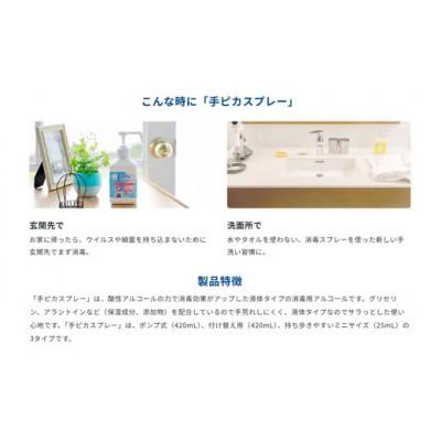 ふるさと納税 松阪市 手ピカスプレー 420mL×6個 |  | 01