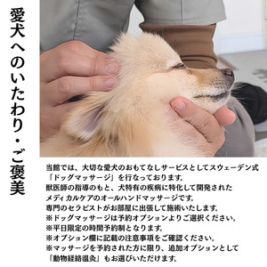 愛犬と癒しの旅　ナガラミリゾートSOSA ご宿泊利用券 6万円分 ／ 宿泊 宿泊券 リゾート ヴィラ ホテル 犬 ペット ドッグラン ドッグマッサージ 温泉 サウナ プール 旅行 リゾート旅