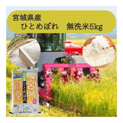 ふるさと納税 宮城県 【令和6年産】宮城県産　無洗米ひとめぼれ 5kg