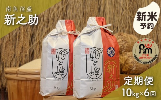 
                  【新米予約】令和８年産「五つ星お米マイスター」の南魚沼産新之助　精米10kg（５kg×２個）×６回（毎月定期便）【定期便 銘柄米 ブランド米 精米 新之助 魚沼産 新潟米 産地直送 お米】【2026年10月下旬から1ヶ月以内に順次発送予定】
                